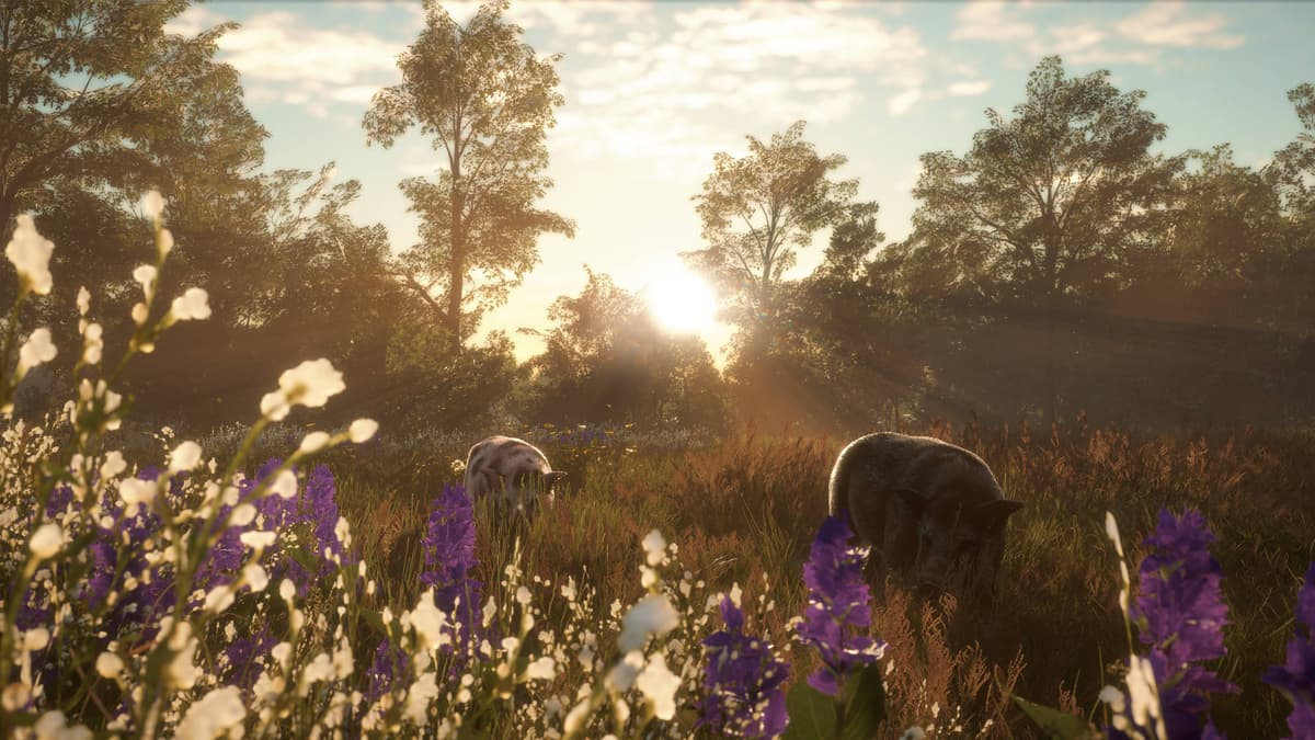 theHunter: Call of the Wild™ - Mississippi Acres Preserve