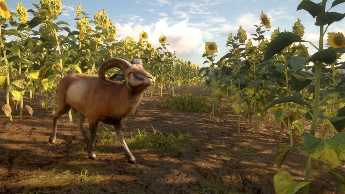 theHunter: Call of the Wild™ - Cuatro Colinas Game Reserve