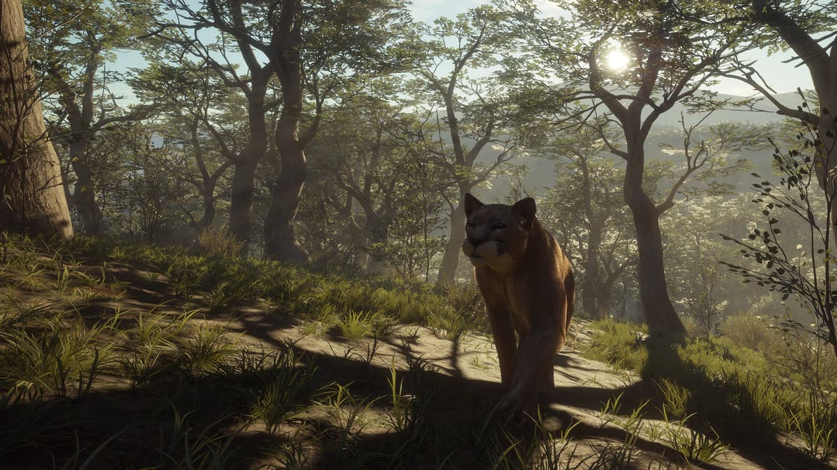 theHunter: Call of the Wild™ - Parque Fernando