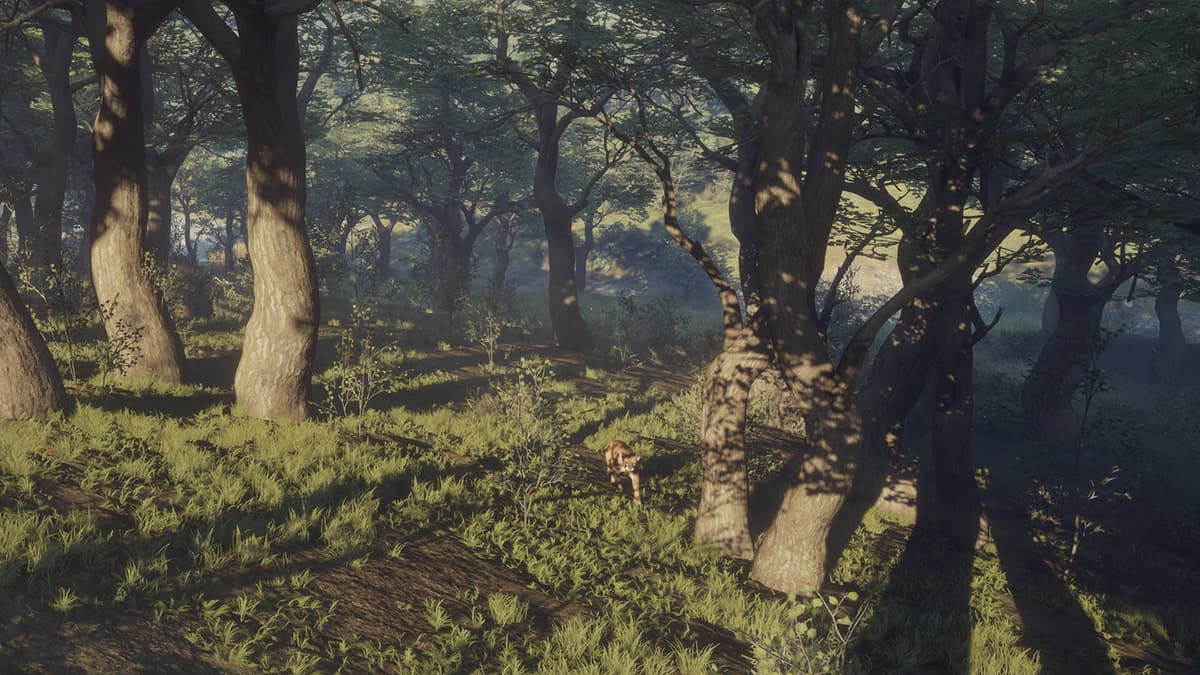 theHunter: Call of the Wild™ - Parque Fernando