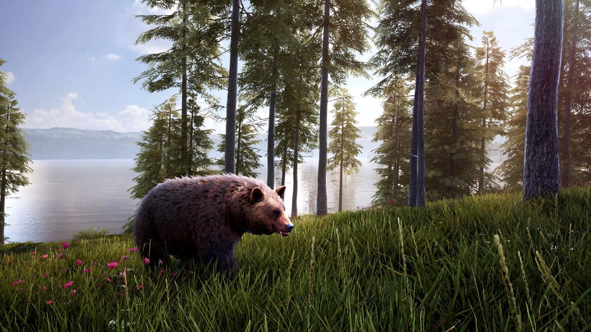 Hunting Simulator 2: Bear Hunter Pack	