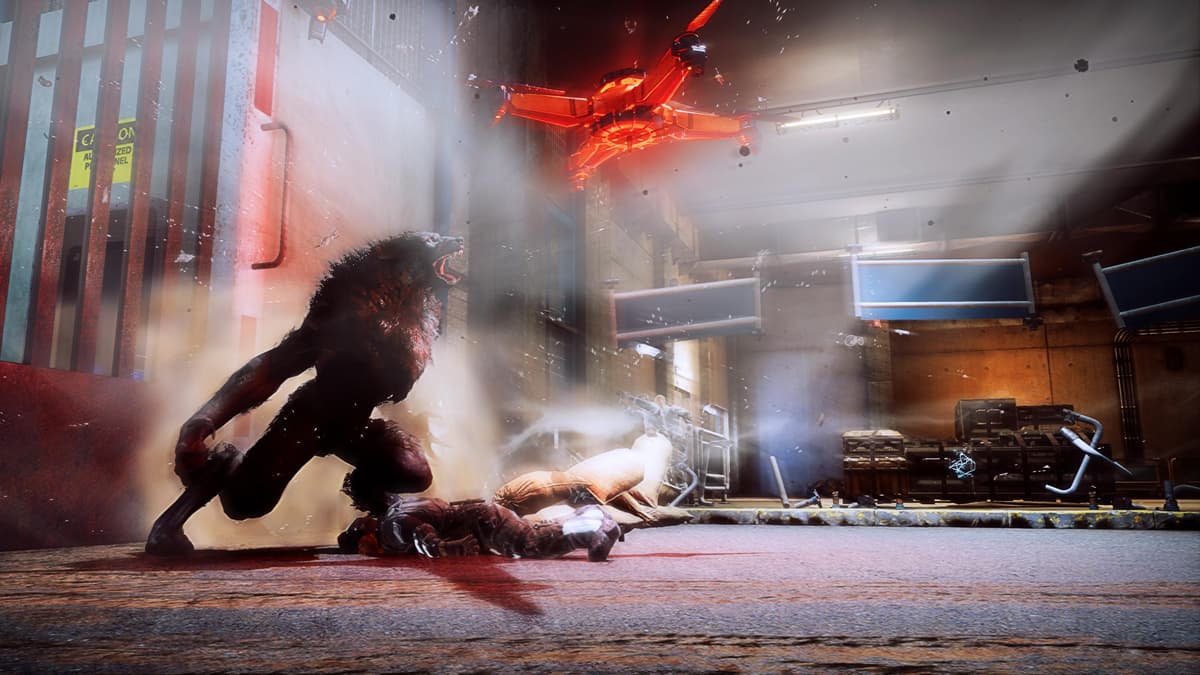 Werewolf: The Apocalypse - Earthblood Champion of Gaia Pack	