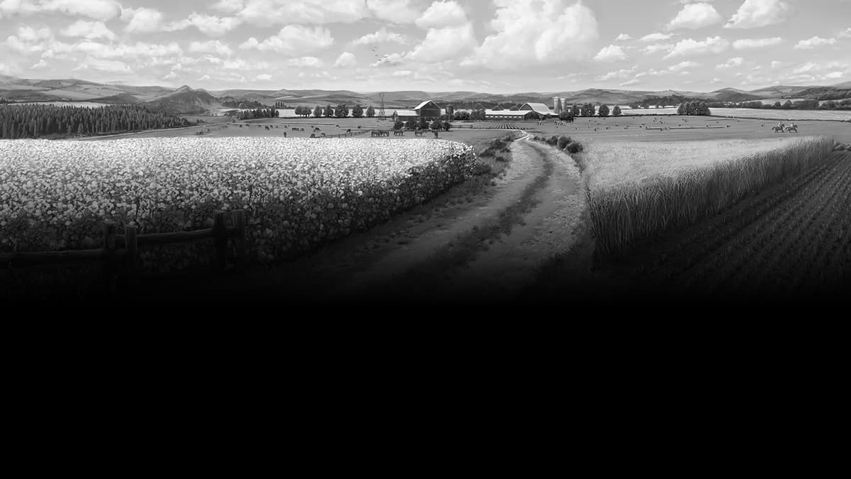 Farming Simulator 19 - Anderson Group Equipment Pack (GIANTS) resmi