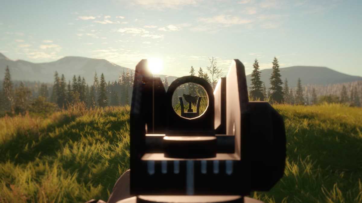 Picture of theHunter: Call of the Wild - Modern Rifle Pack