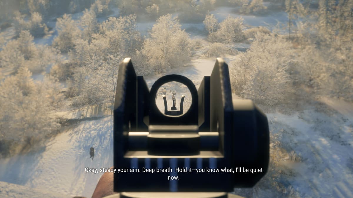 Picture of theHunter: Call of the Wild - Modern Rifle Pack