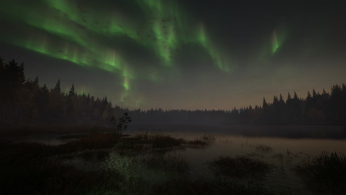 Picture of theHunter: Call of the Wild - Revontuli Coast