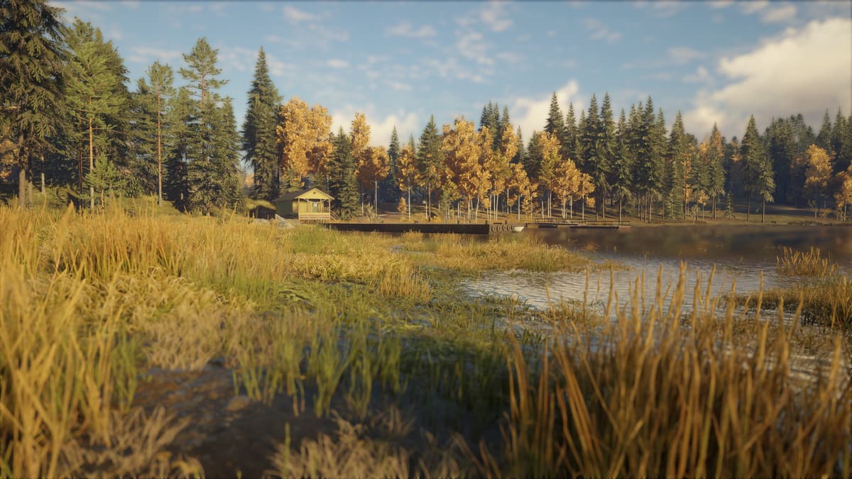 theHunter: Call of the Wild™ - Revontuli Coast	