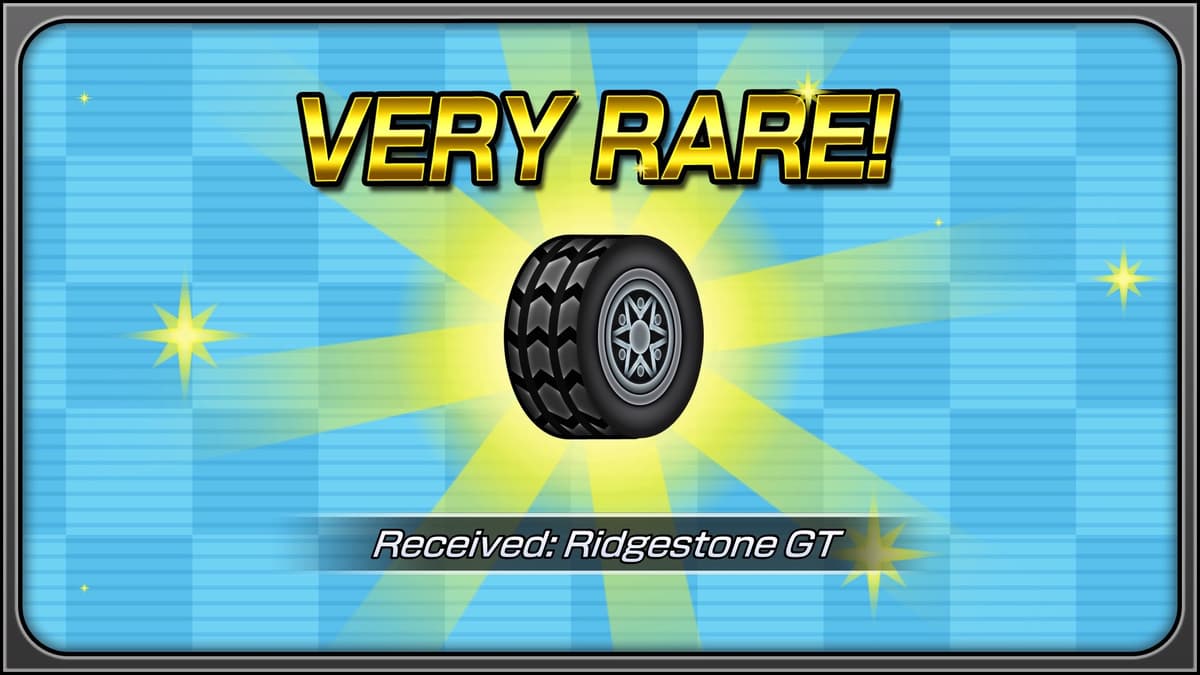 Picture of Gotcha Racing 2nd