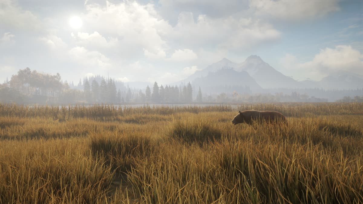 	theHunter: Call of the Wild™