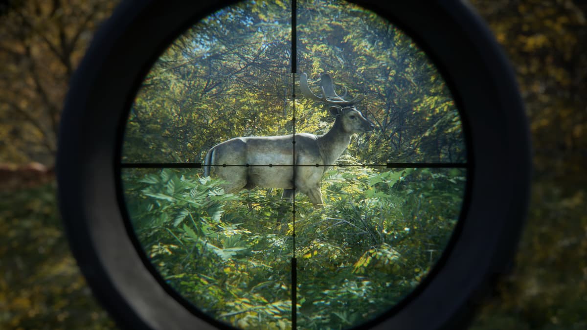 	theHunter: Call of the Wild™