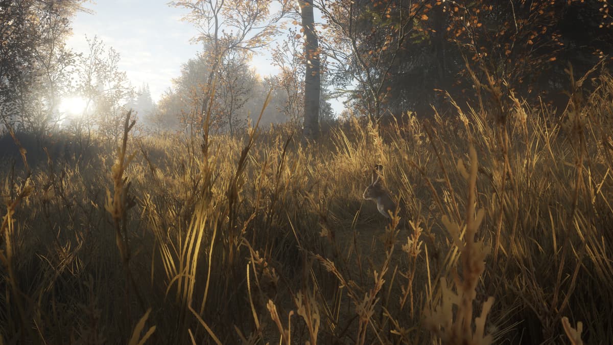 	theHunter: Call of the Wild™