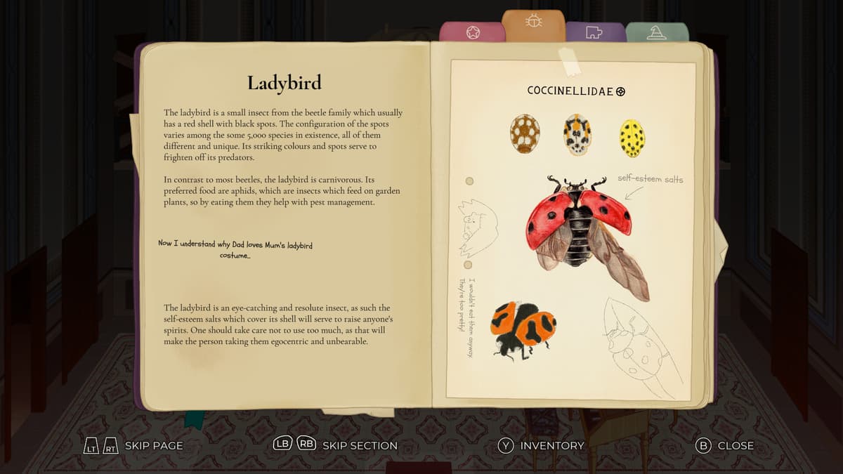 Picture of CLeM |ROW 2|