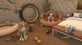 Pets Bundle