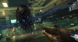 Prey