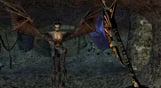 The Elder Scrolls III: Morrowind Game of the Year Edition