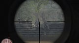 Sniper Art of Victory
