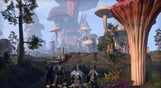 The Elder Scrolls Online - Morrowind Digital Collector’s Edition