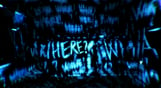 The Guest
