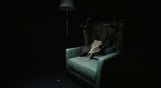 Intruders: Hide and Seek