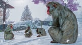 Planet Zoo: Arctic Pack