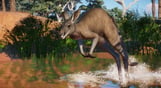 Planet Zoo: Australia Pack