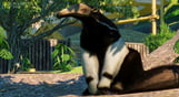 Planet Zoo: South America Pack