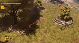 How to Survive
