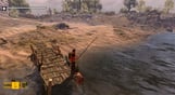 How to Survive