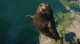 Planet Zoo: Aquatic Pack