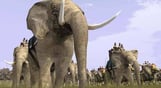 Medieval: Total War Collection