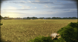 Steel Division: Normandy 44 - Deluxe Edition - DE