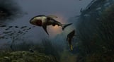 Maneater -Epic Games Version