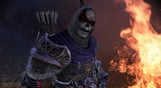 Dragon Age: Origins Awakening