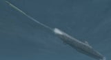Silent Hunter 3