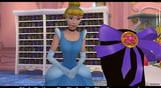 Disney Princess : Enchanted Journey