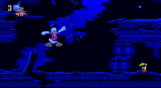 Maui Mallard in Cold Shadow