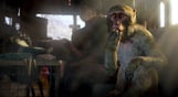 Far Cry 4