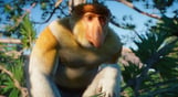 Planet Zoo: Southeast Asia Animal Pack