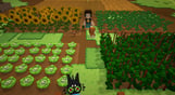 Staxel