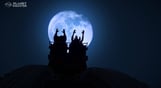 Planet Coaster