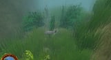 European Fishing