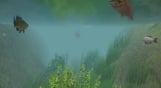 European Fishing