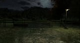 The Cows Are Watching