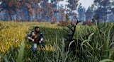 Open Country