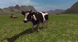 Farming Simulator 2011