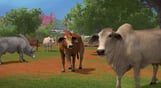 Farming Simulator 17 - Platinum Expansion