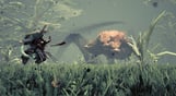 BIOMUTANT
