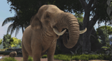 Zoo Tycoon: Ultimate Animal Collection