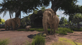 Zoo Tycoon: Ultimate Animal Collection
