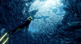 ABZU